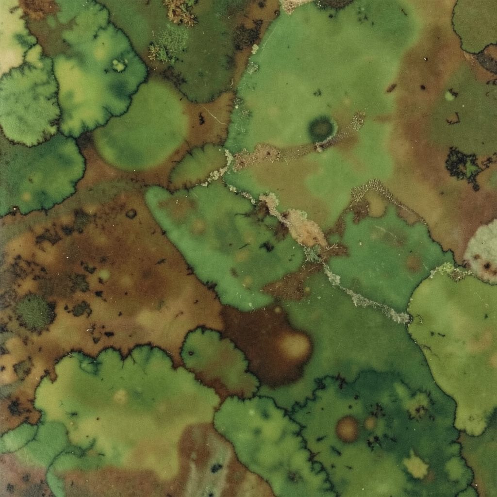Earthy green and brown abstract album cover with organic, grounded tones